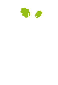 Earth illustration