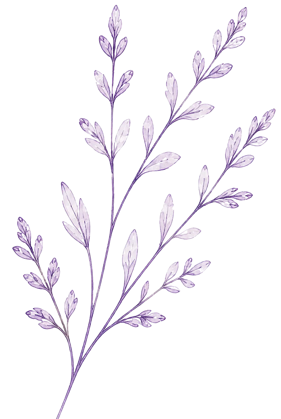 Leaf decoration right