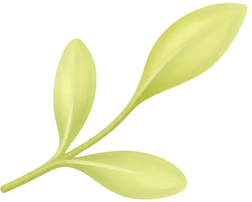 leaf icon